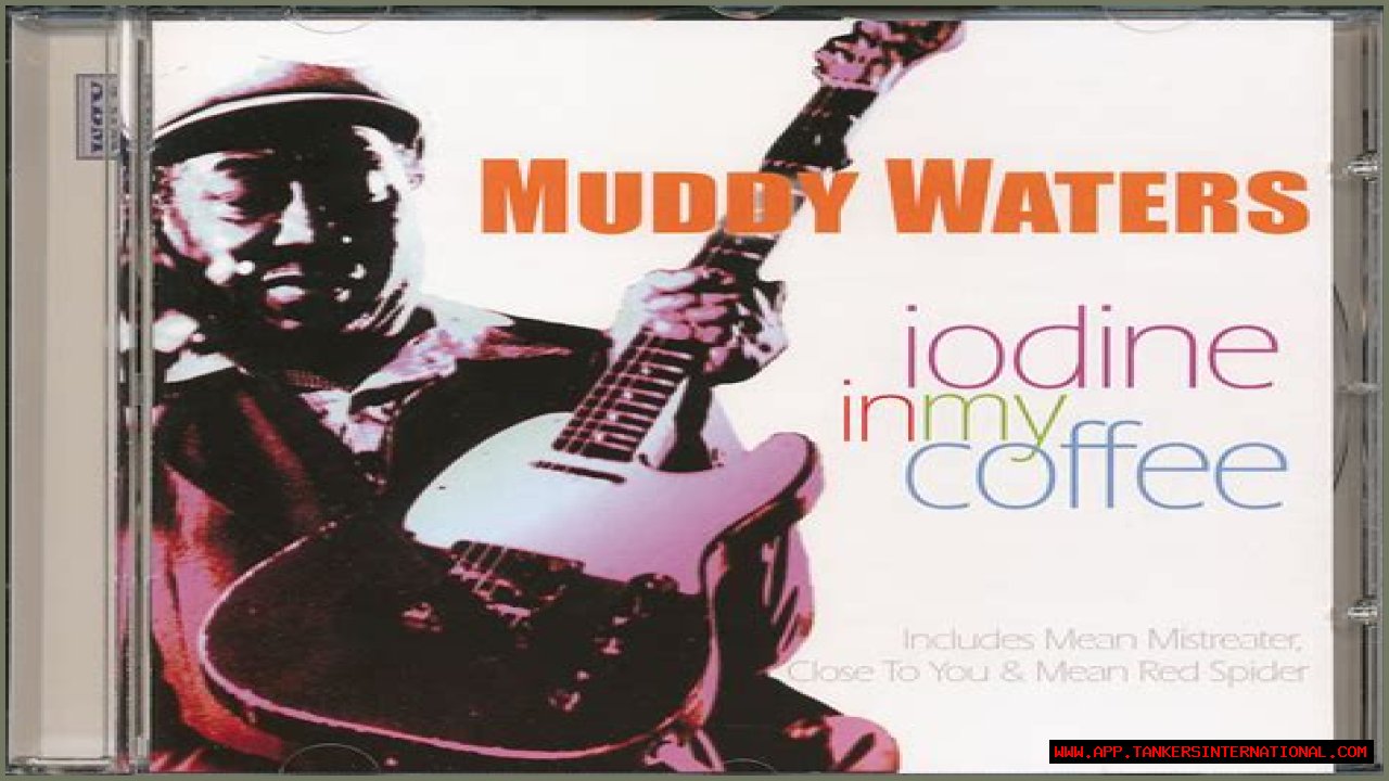 Muddy Waters - Songs, Rollin Stone & Mannish Boy